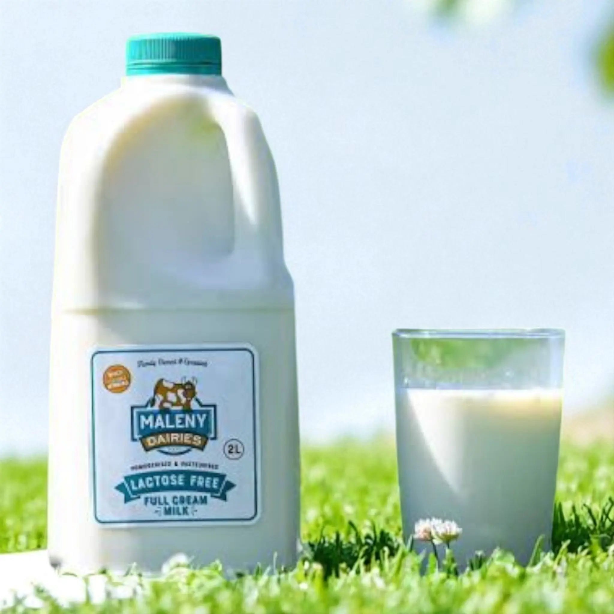 2LT LACTOSE FREE MILK